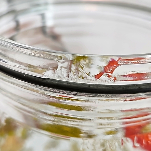 🌺 Vintage ARC France Spice of Life Mushroom Glass Canister Metal Hinged Li… - Picture 12 of 12